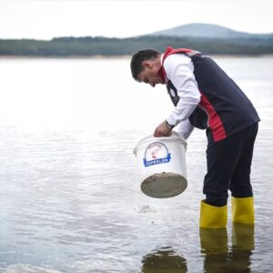 istanbulda 37 milyon sazan yavrusu goletlere salindi NwhQvLQO