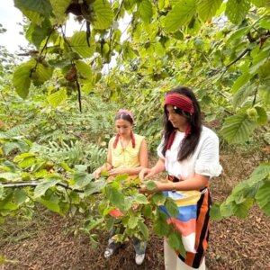 trabzonda cografi isaretli fosa findiginin hasadi basladi 1MiPEpHe