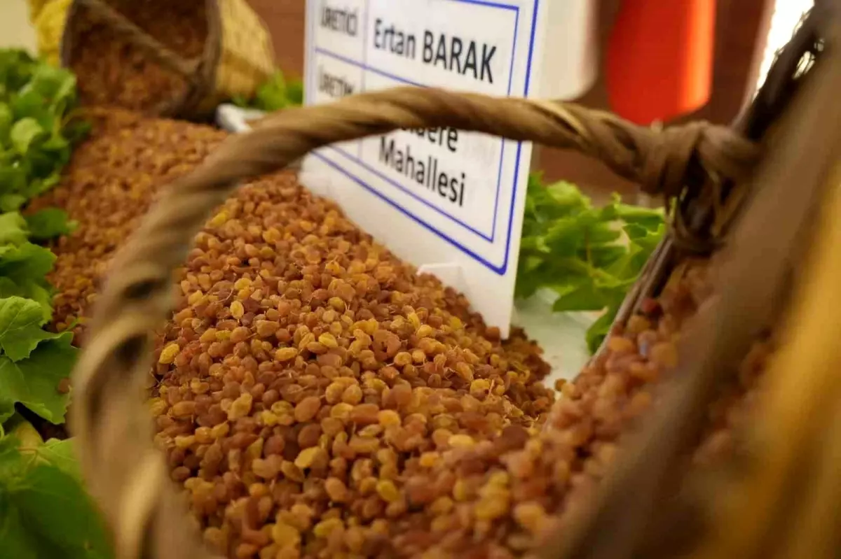 manisa tarim ihracati 706 milyon dolari asti ys5bN6FO.jpg